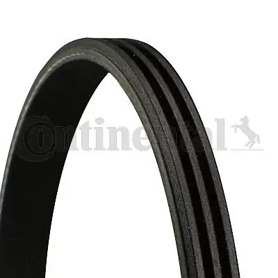 Zamów dziś Pasek klinowy wielorowkowy CONTINENTAL CTAM CON 3PK935