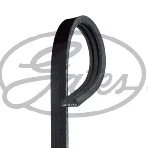 Tylko dziś Pasek klinowy wielorowkowy GATES 3PK973