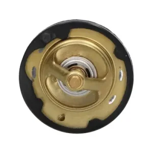 Termostat, płyn chłodzący KAVO PARTS TH-2005 Okazja