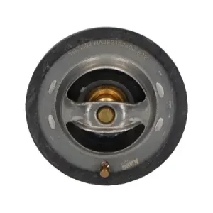 Termostat, płyn chłodzący KAVO PARTS TH-3002 Tylko do końca tygodnia