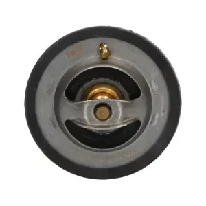 Rabat Termostat, płyn chłodzący KAVO PARTS TH-5509