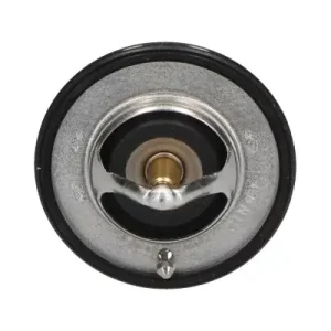 Hit cenowy Termostat, płyn chłodzący KAVO PARTS TH-5516