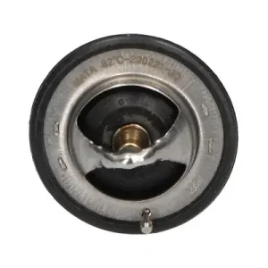 Niska cena Termostat, płyn chłodzący KAVO PARTS TH-9004
