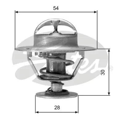 Oferta limitowana Termostat, płyn chłodzący GATES TH02491G1