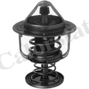 Termostat, płyn chłodzący CALORSTAT BY VERNET TH7494.80J Bestseller