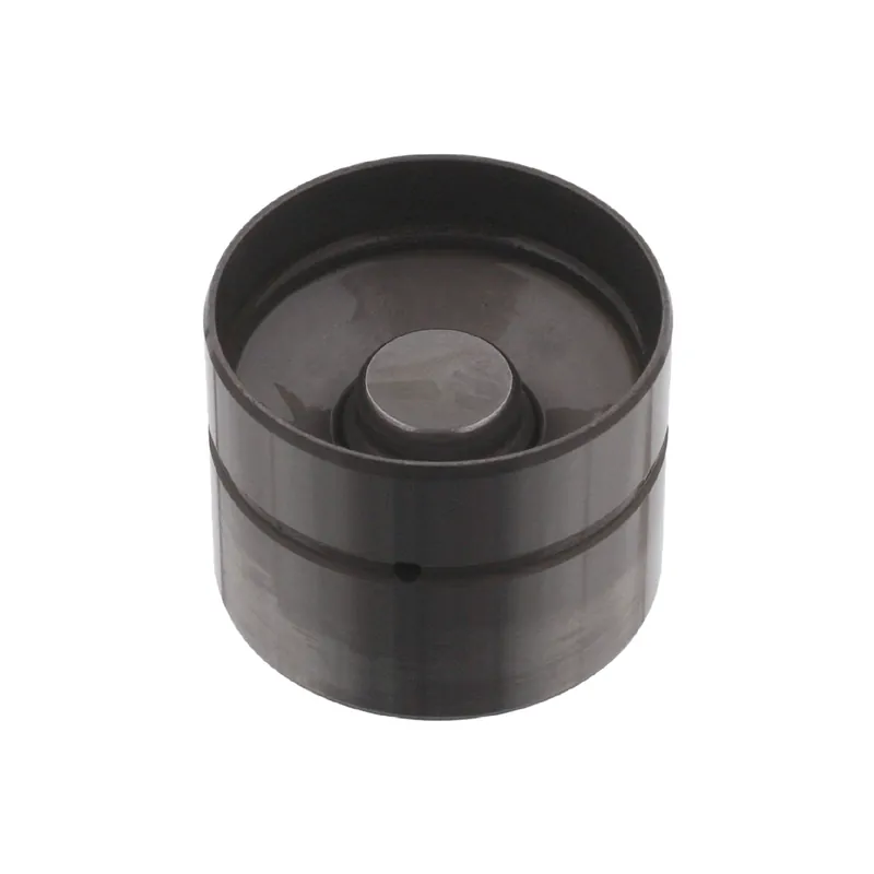 Ostatnia szansa Popychacz hydrauliczny zaworów FEBI BILSTEIN 07841 058109309A